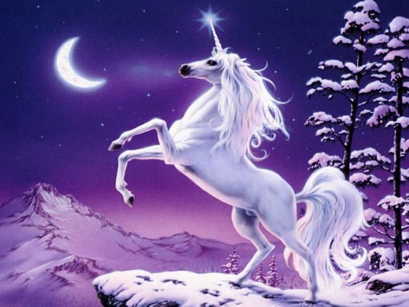Résultat de recherche d'images pour "la licorne animal fantastique"